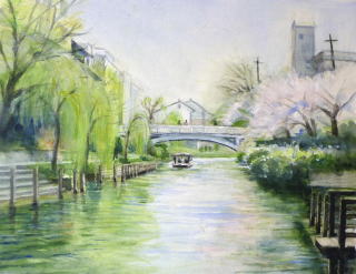 伏見・濠川の柳桜